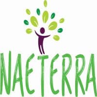 Naeterra Double the Mint Ultra Concentrated Multi-Purpose Cleaner – 64oz All-Natural, Powerful & Refreshing Household Cleaning Solution Renders up to 24 Gallons of multi purpose cleaner