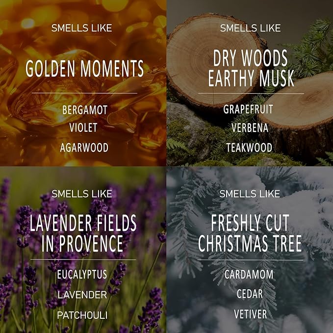 Car Air Freshener Starter Kit - Wood Air Freshener - Car Odor Eliminator for Visor Clip - Long Lasting - Variety Scent Refill - CLIP INCLUDED (Amber/Teak/Lavender/Frosted Spruce)
