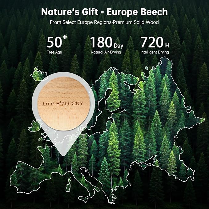 Littlelucky Car Air Freshener, 2 PCS Europe Beech Wood, Car Air Freshener Vent Clip for Hidden Air Vent etc, 4 PCS Scent Refills, 2 Natural Plant Extract Fragrance Long-lasting for 120 Days
