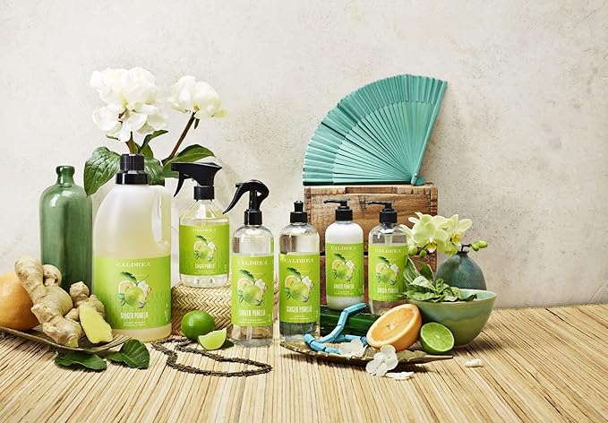 Caldrea Dish Soap, Biodegradable Dishwashing Liquid made with Soap Bark and Aloe Vera, Ginger Pomelo Scent, 16 oz