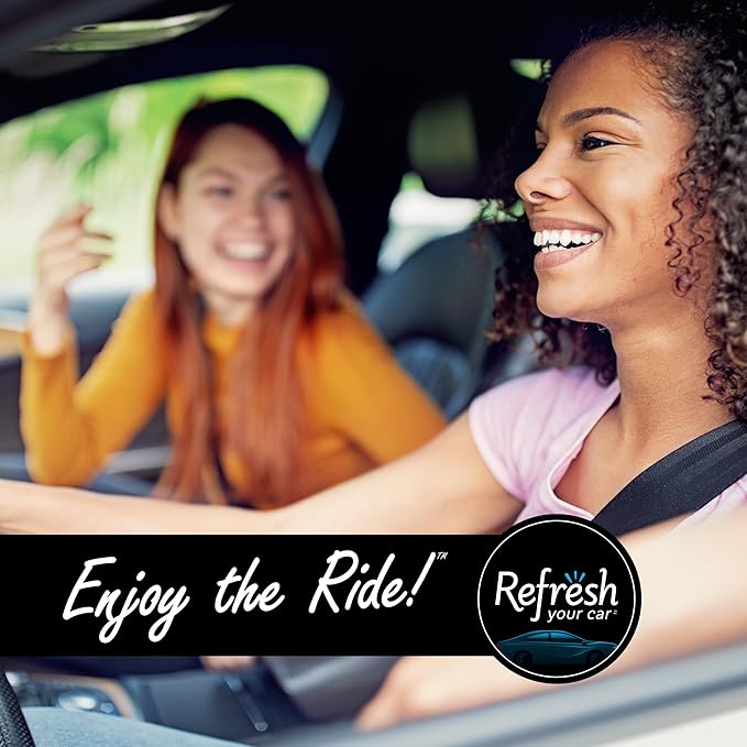 Refresh Your Car Mini Diffuser Car Air Fresheners, Alpine Meadows / Summer Breeze Scent, 2 Pack