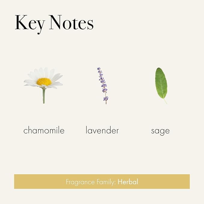 LAFCO New York Dryer Ball & Laundry Fragrance Oil Set, Chamomile Lavender - Soften, Scent & Dry Fabrics in Less Time - Reduces Static & Lint