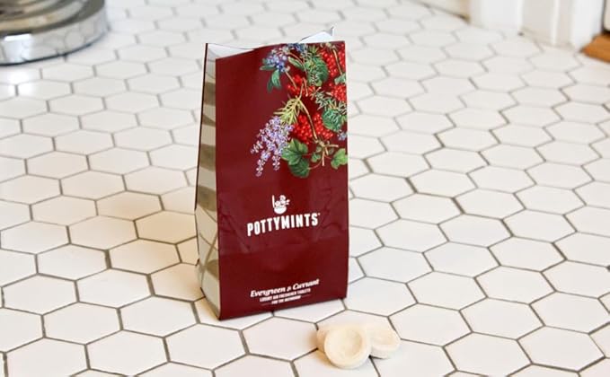 Potty Mints Dissolvable Air Freshener Toilet Tablets | Evergreen + Currant | Long-Lasting, Non-Toxic | Made in The USA | Discreet Packaging, Septic Safe | Travel Friendly (20 Bag)