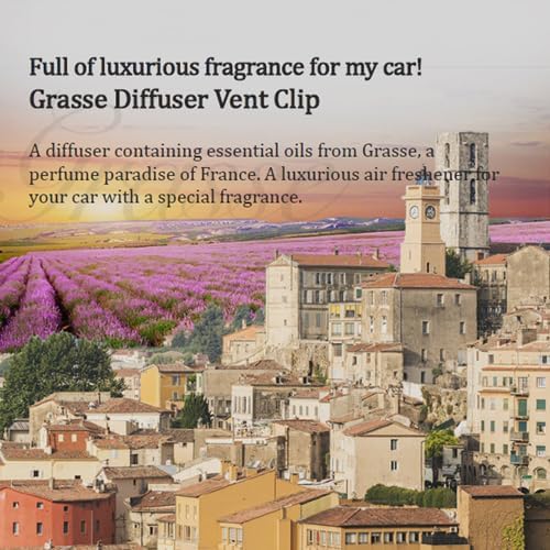 2 Pack Bullsone Diffuser Natural Car Air Freshener, Luxury Car Perfume, Vent Clip Type - Blackberry & Cherry Scent