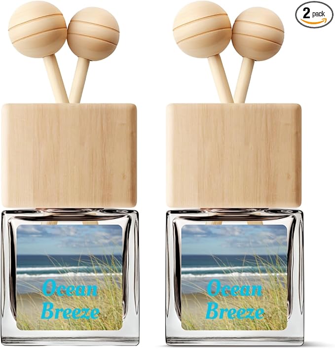 Car Air Freshener | Ocean Breeze Scented Car Fresheners for Women & Men | Long Lasting Fragrance Car Scents | Air Diffuser with Car Vent Clip (2 Pack Car Scent), Clear