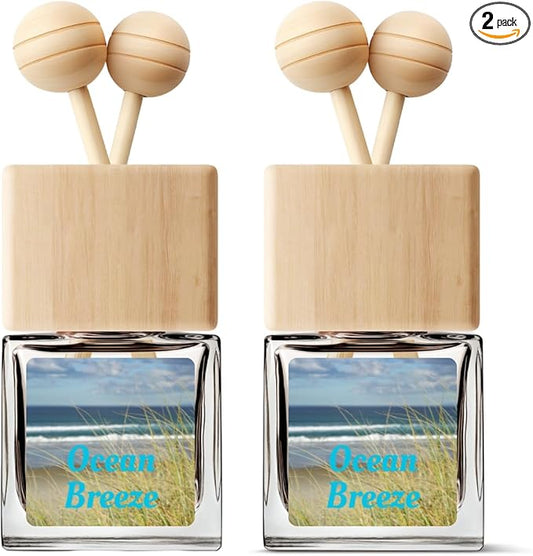 Car Air Freshener | Ocean Breeze Scented Car Fresheners for Women & Men | Long Lasting Fragrance Car Scents | Air Diffuser with Car Vent Clip (2 Pack Car Scent), Clear