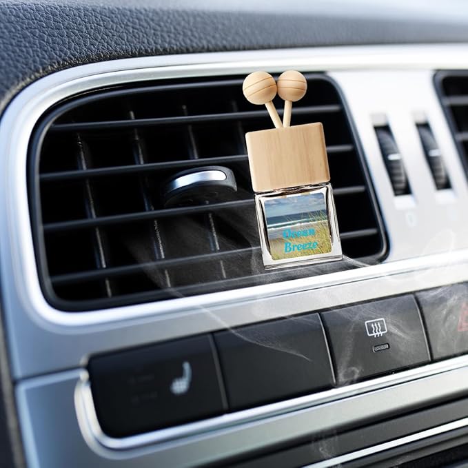 Car Air Freshener | Ocean Breeze Scented Car Fresheners for Women & Men | Long Lasting Fragrance Car Scents | Air Diffuser with Car Vent Clip (2 Pack Car Scent), Clear