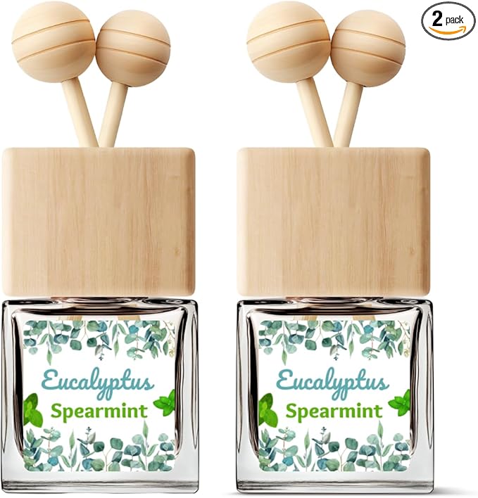 Car Air Freshener | Eucalyptus Spearmint Scent Car Fresheners for Women & Men | Long Lasting Fragrance Car Scents | Air Diffuser with Car Vent Clip (2 Pack Car Scent), Clear