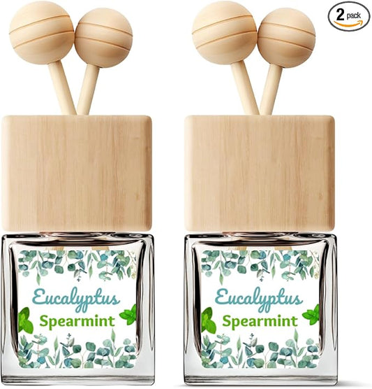 Car Air Freshener | Eucalyptus Spearmint Scent Car Fresheners for Women & Men | Long Lasting Fragrance Car Scents | Air Diffuser with Car Vent Clip (2 Pack Car Scent), Clear