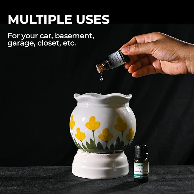 THIEN AN - Car Air Fresheners Set Rosemary and Eucalyptus Scents Natural Car Fragrance Satobon with Car Diffuser (10ml) Car Vent Clips, Refillable Car Air Fresheners