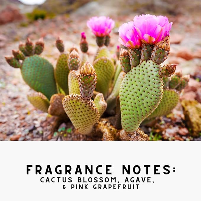 Home "DREAM HOME" Cactus + Grapefruit Room Deodorant |Non-Aerosol Aromatic Mist | Plant Based Formula | Safe Odor Eliminator Freshener for Fabric/Linen, Furniture, or Air | 5.0 oz