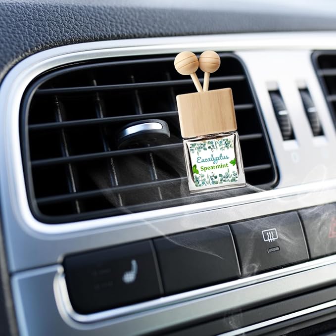 Car Air Freshener | Eucalyptus Spearmint Scent Car Fresheners for Women & Men | Long Lasting Fragrance Car Scents | Air Diffuser with Car Vent Clip (2 Pack Car Scent), Clear