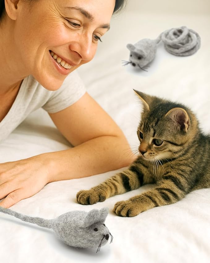 Glaciart One Felt Mouse Cat Toy – Soft Fuzzy Enrichment 100% Natural Wool - Interactive Catnip Play Cat Toy Set - Safe for Pets, Non-AZO Colored Dyes - 42” Long