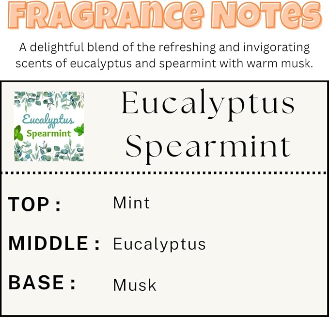 Car Air Freshener | Eucalyptus Spearmint Scent Car Fresheners for Women & Men | Long Lasting Fragrance Car Scents | Air Diffuser with Car Vent Clip (2 Pack Car Scent), Clear