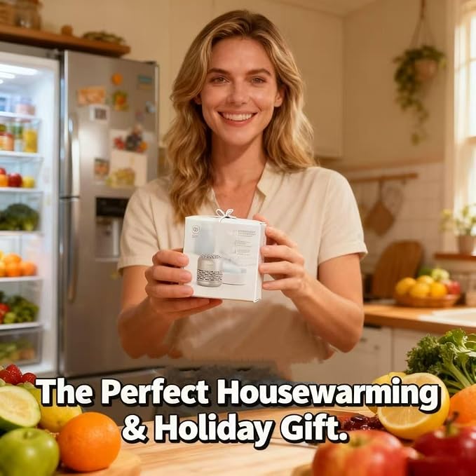 HOMIKE Refrigerator Deodorizer, Odor Eliminator,Last up to 10 Years for Car,Closet,Shoes Cabinet,Fridge and Freezer,Outperforms Baking Soda and Activated Carbon(Stainless Steel)