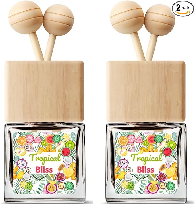 Tropical Fruits Car Air Freshener - Citrus Orange Scent Diffuser, Long Lasting Fragrance - 2 Pack