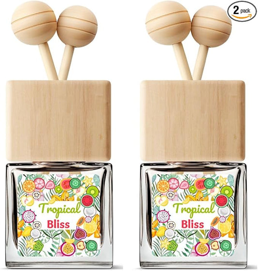 Tropical Fruits Car Air Freshener - Citrus Orange Scent Diffuser, Long Lasting Fragrance - 2 Pack