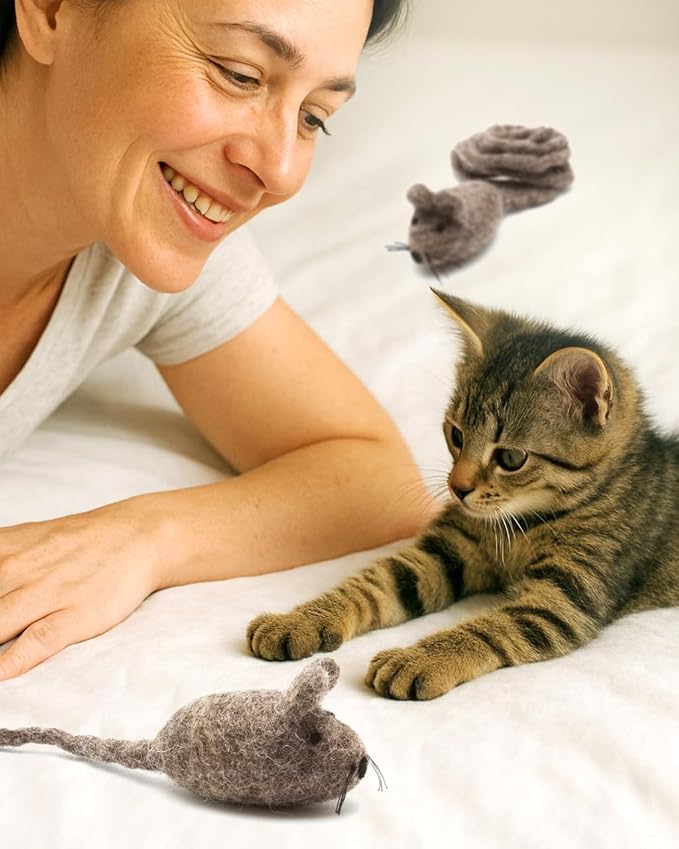 Glaciart One Felt Mouse Cat Toy – Soft Fuzzy Enrichment 100% Natural Wool - Interactive Catnip Play Cat Toy Set - Safe for Pets, Non-AZO Colored Dyes - 42” Long