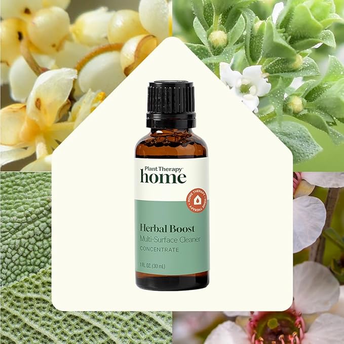 Plant Therapy Herbal Boost Multi-Surface Cleaner Concentrate 30 mL 2-Pack Plant-Powered Formula for an Effortless Natural Clean, Zesty, Herbal Scent That Refreshes Every Room, Tough on Messes