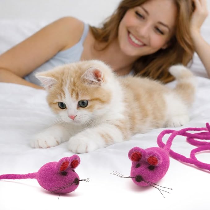 Glaciart One Felt Mouse Cat Toy – Soft Fuzzy Enrichment 100% Natural Wool - Interactive Catnip Play Cat Toy Set - Safe for Pets, Non-AZO Colored Dyes - 42” Long