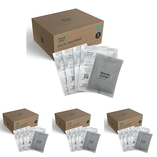 Home Zone Living CleanAura Deodorizing Bamboo Activated Charcoal Filter Bag Set of 4 (Pack of 4)