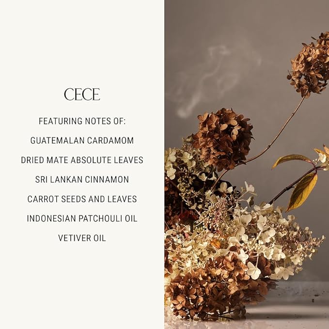 Homecourt Room Deodorant, Cece – Natural Room Spray, 3.4 oz - Fine Fragrance with Cedarwood and Leather, Room Deodorant for Kitchen, Bathroom and Beyond, 2.0