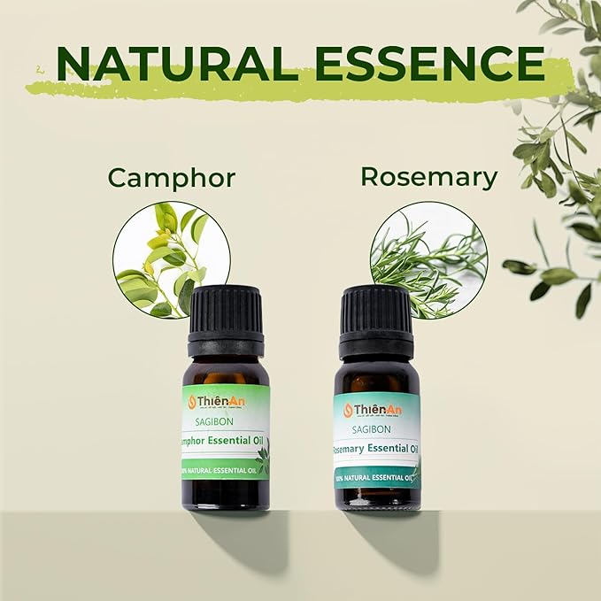 THIEN AN - Car Air Fresheners Set Rosemary and Eucalyptus Scents Natural Car Fragrance Satobon with Car Diffuser (10ml) Car Vent Clips, Refillable Car Air Fresheners
