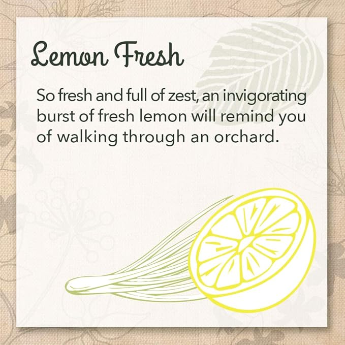 EcoMe Stainless Steel Polish, Multi-Surface Cleaner, Lemon Fresh, 16 oz
