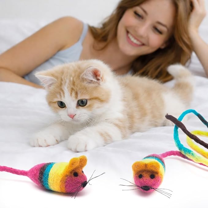 Glaciart One Felt Mouse Cat Toy – Soft Fuzzy Enrichment 100% Natural Wool - Interactive Catnip Play Cat Toy Set - Safe for Pets, Non-AZO Colored Dyes - 42” Long