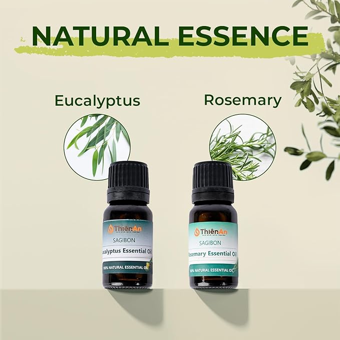 THIEN AN - Car Air Fresheners Set Rosemary and Eucalyptus Scents Natural Car Fragrance Satobon with Car Diffuser (10ml) Car Vent Clips, Refillable Car Air Fresheners