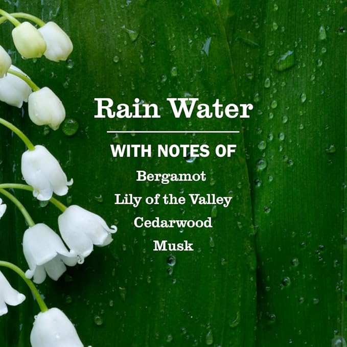 MRS. MEYER'S CLEAN DAY Fabric Freshener, Rain Water Scent, 20 Ounce Bottle
