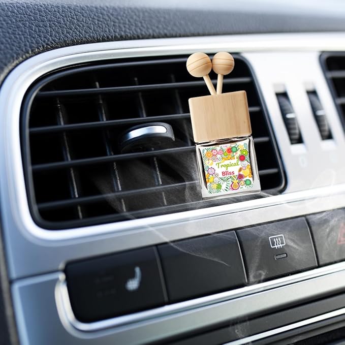 Tropical Fruits Car Air Freshener - Citrus Orange Scent Diffuser, Long Lasting Fragrance - 2 Pack