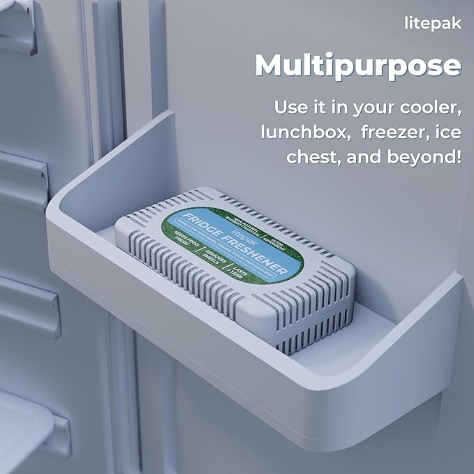 Litepak Fridge Deodorizer & Odor Eliminator - More Powerful Than Baking Soda - Bamboo Activated Charcoal Bags Odor Absorber For Refrigerator or Freezer (1 Pack)