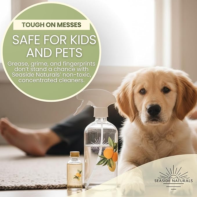 On Purpose All-Purpose Cleaner Refill (4 oz) – Makes 4 Bottles – Plant-Based Non-Toxic Concentrate with Eucalyptus, Lavender & Tea Tree Essential Oils – Safe for Kids & Pets