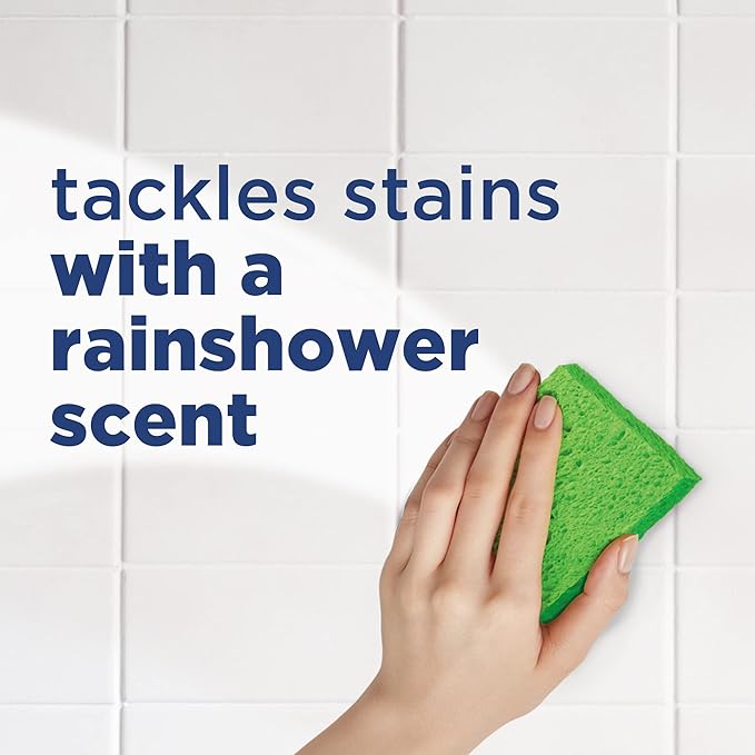 SCRUBBING BUBBLES BATH DISSOLVE PODS SATRTER KIT 1+1 0.28FLOZ