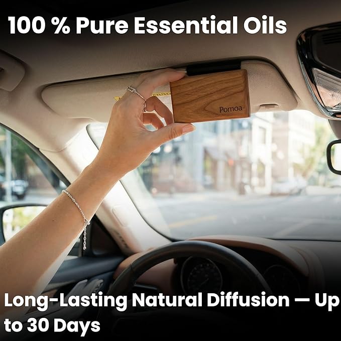 Car Air Freshener Wood 3 Pack — Refillable Solid Diffuser, North American Alder Scent, Leather Visor Clips — No Liquid Odor Eliminator for Cars, Trucks, SUVs