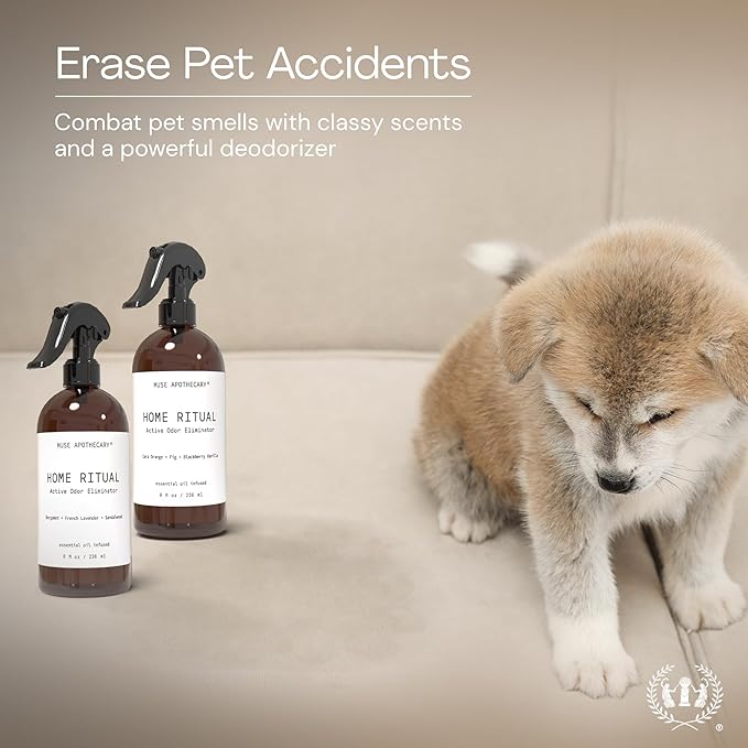 Muse Apothecary Home Ritual Active Odor Eliminator Spray - Furniture Deodorizer Spray & Bathroom Odor Eliminator for Home - Essential Oil Air Freshener - 8oz, Cara Orange + Fig + Blackberry Vanilla