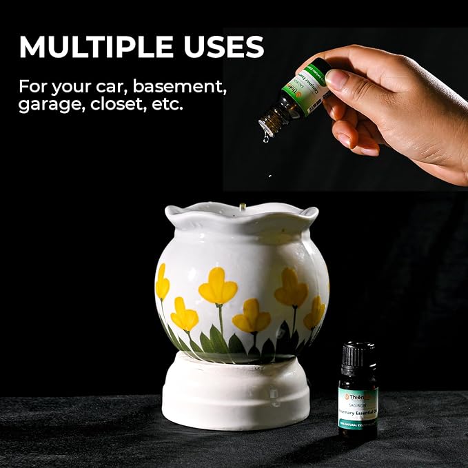 THIEN AN - Car Air Fresheners Set Rosemary and Eucalyptus Scents Natural Car Fragrance Satobon with Car Diffuser (10ml) Car Vent Clips, Refillable Car Air Fresheners