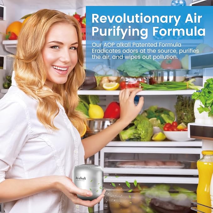 Fridge Deodorizer – 1 Pack Refrigerator Odor Eliminator, Lasts 10 Years, Chemical-Free Fresh Odor Eliminator Kit, More Effective Than Baking Soda, for Kitchen Appliances, Closet, Car, Pet Areas-Silver