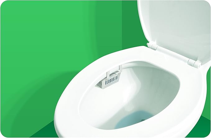 Big D Industries Non-para Toilet Bowl Block, Lasts 30 Days, Evergreen Scent, White, 12/Box
