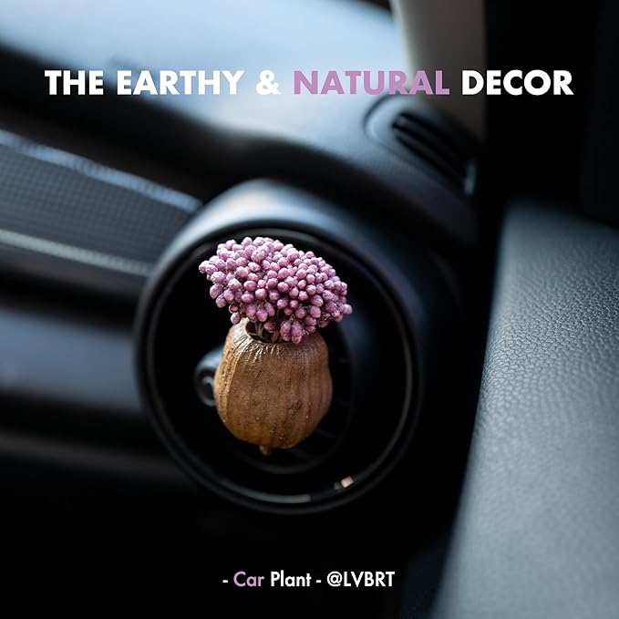 Mini Dried Flowers Car Vent Clips, Natural Car Air Freshener Non-Toxic, Cute Dashboard Decorations, Gifts for Plant Lovers (A+C, Unscented)