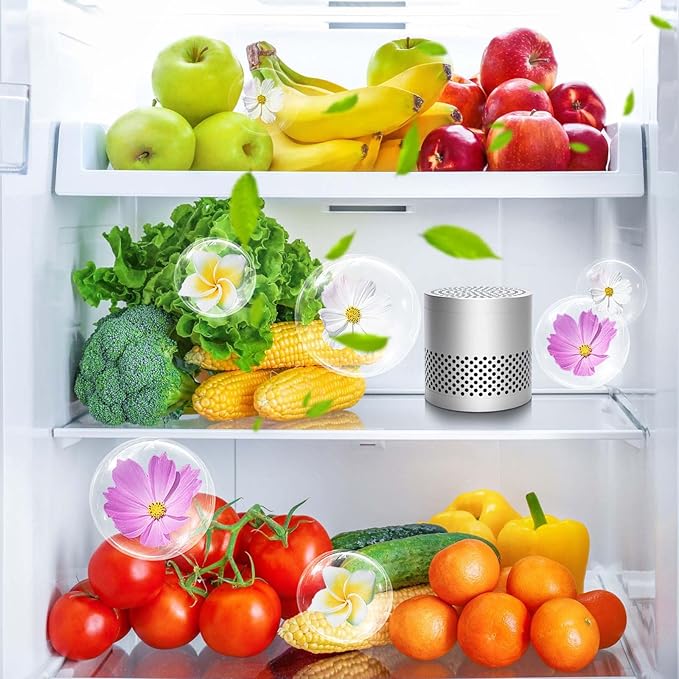 Refrigerator Deodorizer Odor Eliminator, Long-Lasting Fragrance for 10 Years, Far More Useful Than Baking, Superior to Baking Soda & Bamboo Charcoal, Suitable for Deodorizing Refrigerators (Silver)