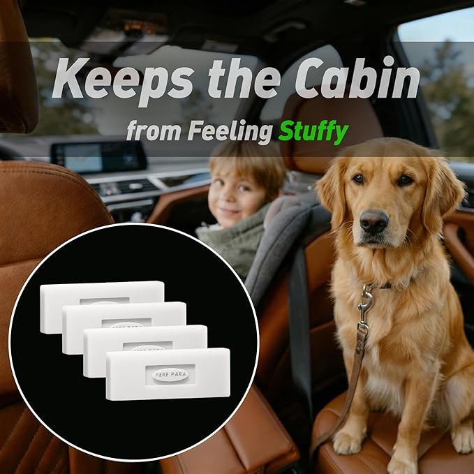4 Packs Pine & Sage Scented Natural Wood Vent Clips,【Keeps the Air Feeling Open】 Car Scents Air Freshener Refills, Long Lasting Fragrance Diffuser, SUV Essentials for Men