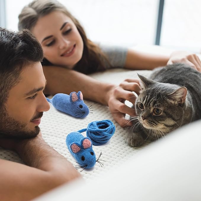 Glaciart One Felt Mouse Cat Toy – Soft Fuzzy Enrichment 100% Natural Wool - Interactive Catnip Play Cat Toy Set - Safe for Pets, Non-AZO Colored Dyes - 100” Long