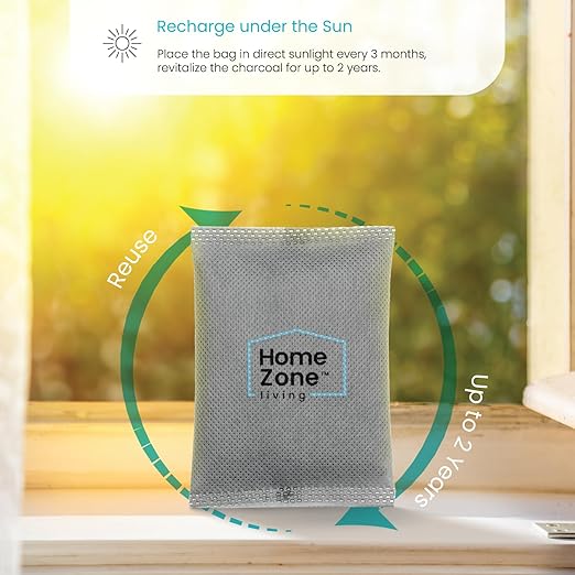 Home Zone Living CleanAura Deodorizing Bamboo Activated Charcoal Filter Bag Set of 4 (Pack of 4)
