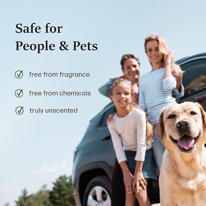 Moso Natural Charcoal Odor Absorber for Cars, 300g Bamboo Charcoal Air Purifying Bag, Unscented Odor Eliminator, Lasts Up to 2 Years, HGTV Editors’ Pick