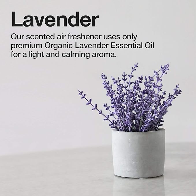SCD Probiotics – Air Refresh Odor Eliminator Spray – Powerful Non-Aerosol Natural Odor Neutralizer – Home & Car Smell Deodorizer With Light Lavender Scent – 6 Oz Fine Mist Spray – Made In USA