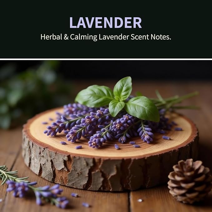 Car Air Freshener Hanging 2 Pack, Lavender Scent Essential Oil Diffuser Long Lasting Up to 150 Days, Cute Car Accessories with 2 Vent Clip for Women Men Gift, Odor Eliminator