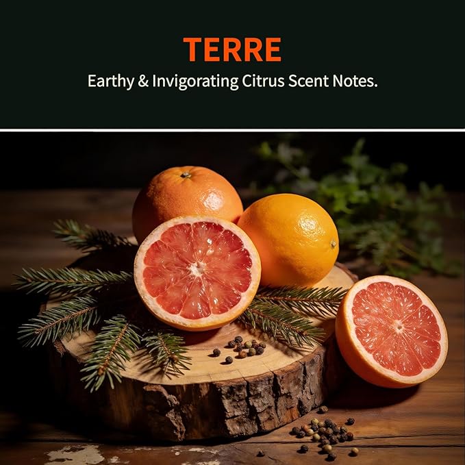 Car Air Freshener Hanging 2 Pack, Terre Scent Essential Oil Diffuser Long Lasting Up to 150 Days, Cute Car Accessories with 2 Vent Clip for Women Men Gift, Odor Eliminator