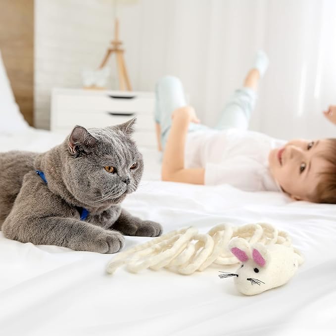 Glaciart One Felt Mouse Cat Toy – Soft Fuzzy Enrichment 100% Natural Wool - Interactive Catnip Play Cat Toy Set - Safe for Pets, Non-AZO Colored Dyes - 100” Long
